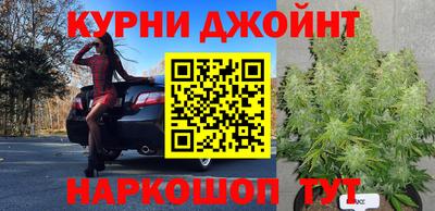 прущая мука Пугачёв