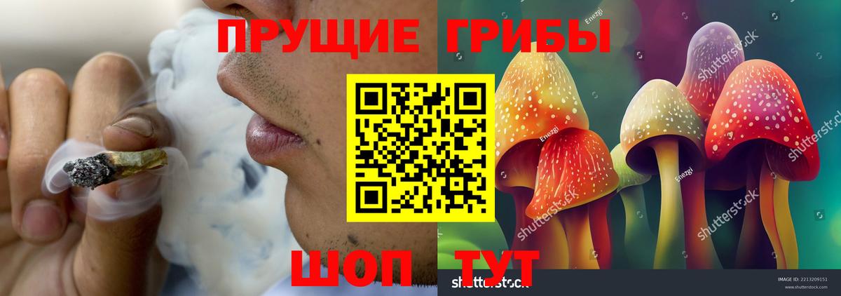 Псилоцибиновые грибы Psilocybine cubensis  Вход с VPN  Астрахань 