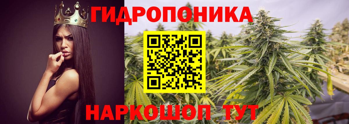 Каннабис план Астрахань